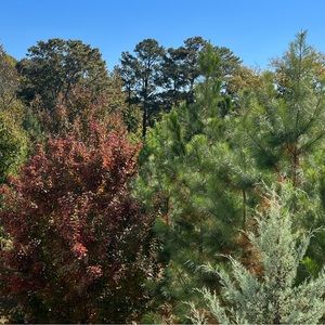 Meet your Posher, Kait